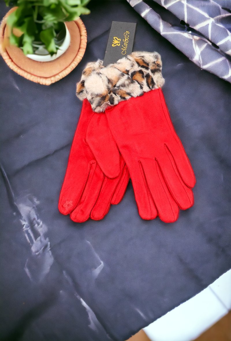 ACCESSOIRES